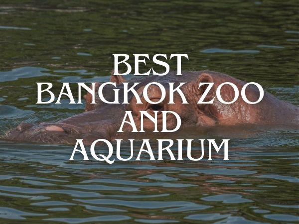 best bangkok zoo and aquarium