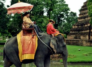 Ayutthaya elephant 