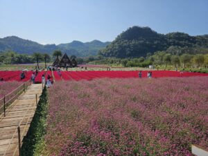 Hokaiddo Flower Park 