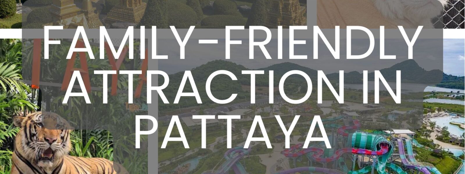 Family friendly attraction blog cover