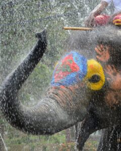 Songkran Ayutthaya 