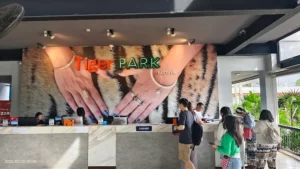 Tiger park Pattaya